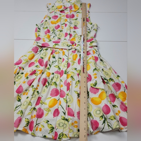 Cynthia Rowley Linen Blend Tiered Button Belted DressLined-Skirt Fruits Sz 4 New - Picture 10 of 14